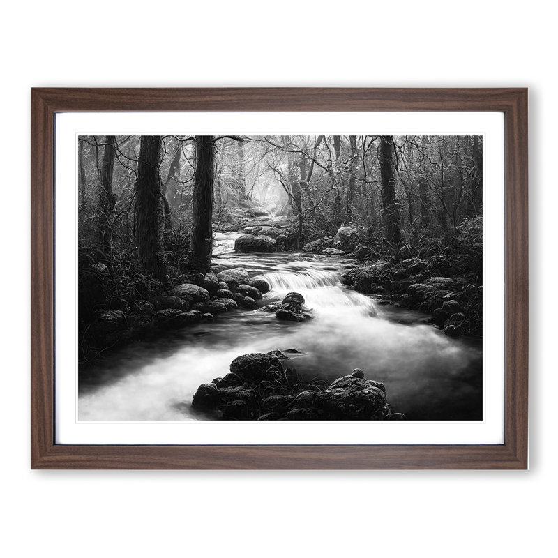 Forest Stream - Framed Print, 46cm H x 64cm W, Walnut Framed