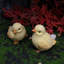 Simulation de Pâques Décoration de poules Mignonnes décorations de poulets-354489455