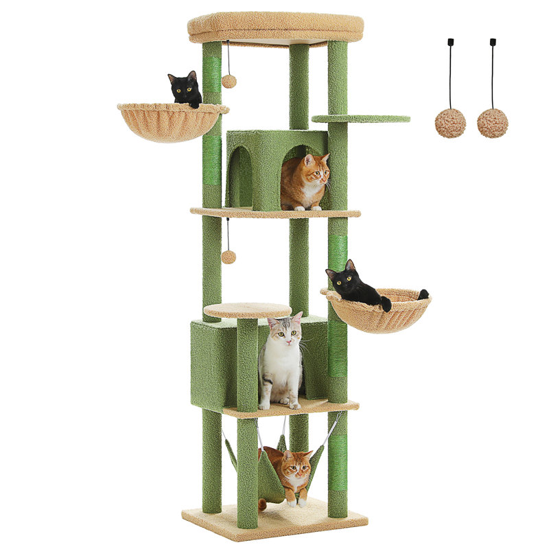Arbre à chat, Vert / Beige
