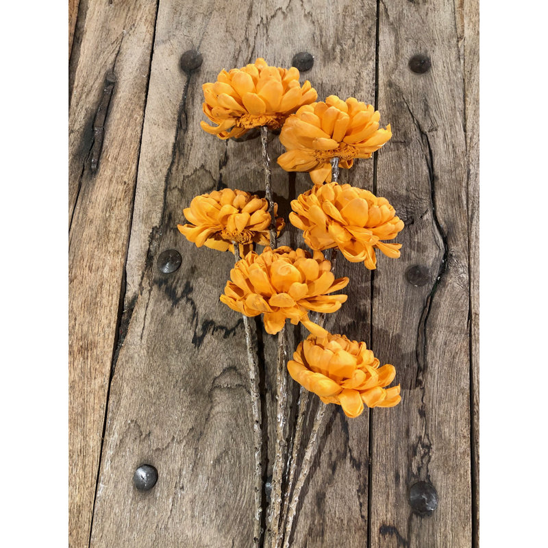 Mum Arrangement, Tangerine