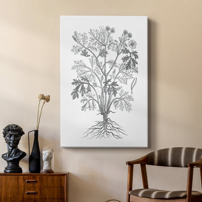 B&W Plant Spechantillon II - galerie sur mesure Cavas