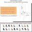 Dining Chair Slipcover