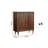 Japanese Retro Accent Cabinet Accent Cabinet