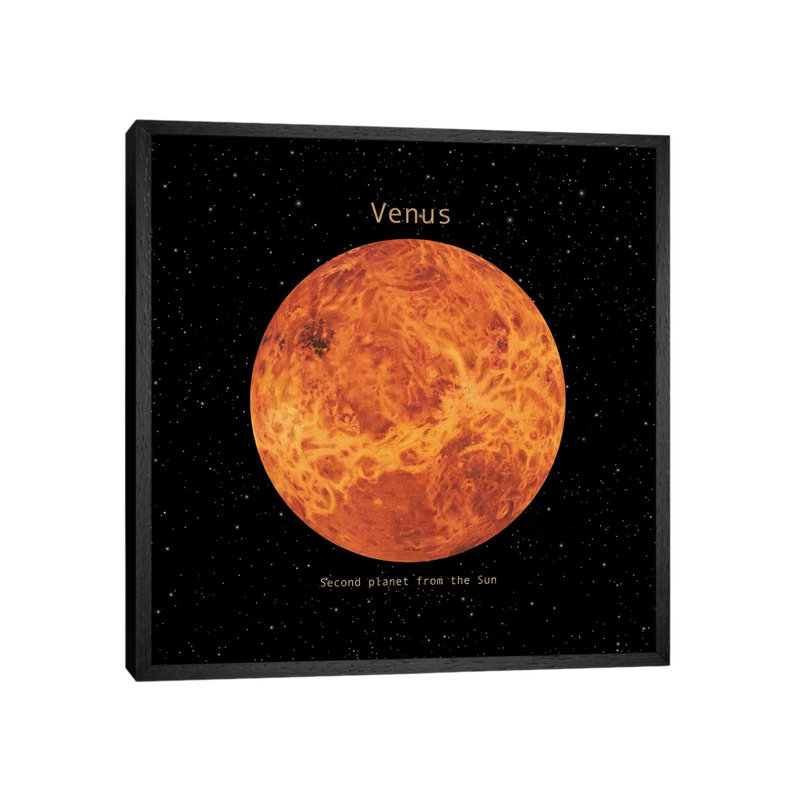 Venus Square by Terry Fan - Floater Frame Gallery-Wrapped Canvas Giclée on Canvas, Black, 45.72 cm H x 45.72 cm W