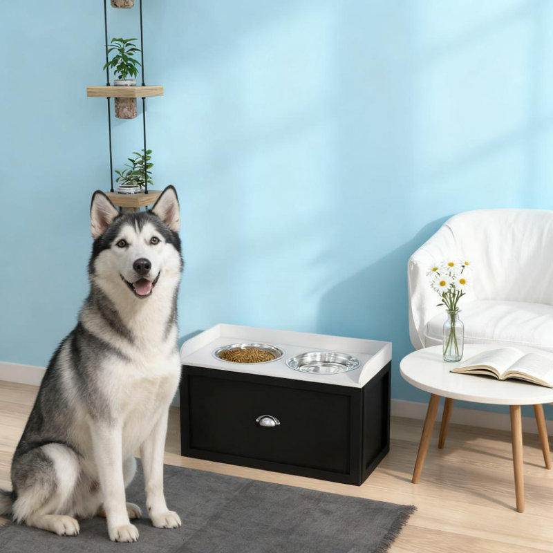 Ensemble d'alimentation pour animaux avec rangement et bol à vaisselle pour grands chiens
