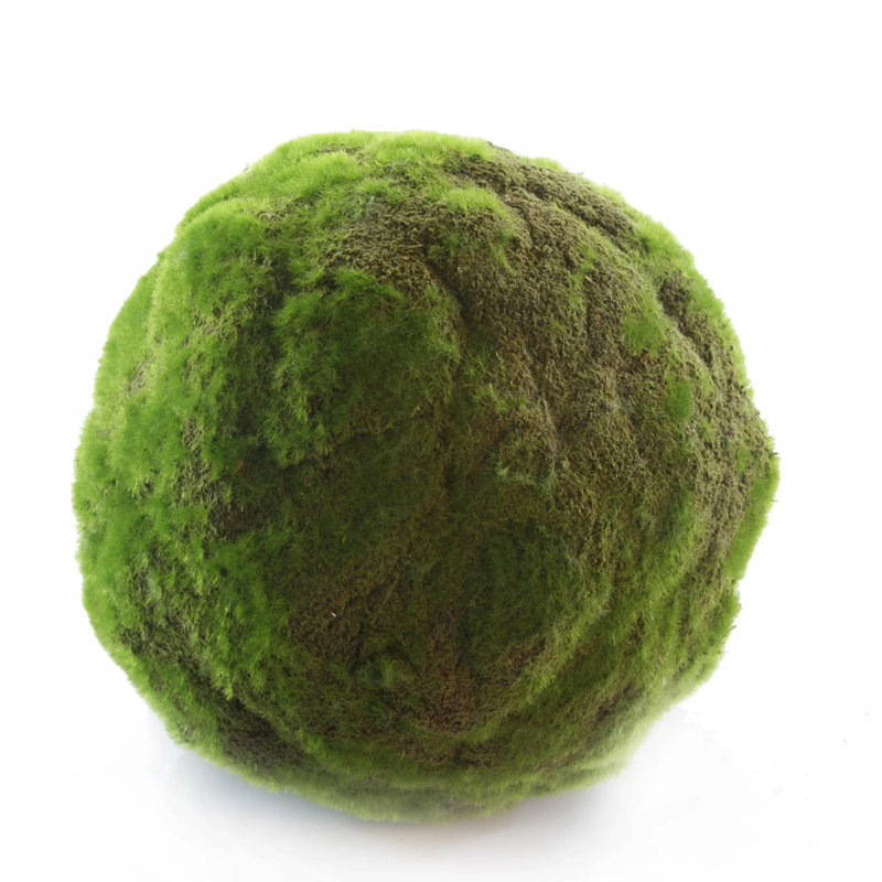  Moss Ball