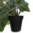 Faux Ivy Plants in Pots