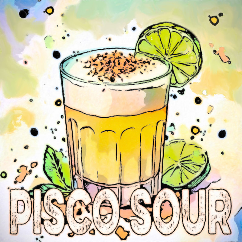Pisco Sour Cocktail 16x16