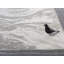 Tapis à bordure abstraite crème / gris Ksamil Collection-106017536