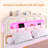 Bed Frame with Storage and LED Lights Charging Station, Velvet Upholstered Girl Bed with Drawer, No Box Spring Needed, Easy Assemble-154195671-154195624