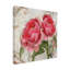 Art sur toile pivoines bolognaises-104104319