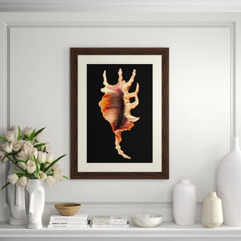 Large Shell 2 Print
