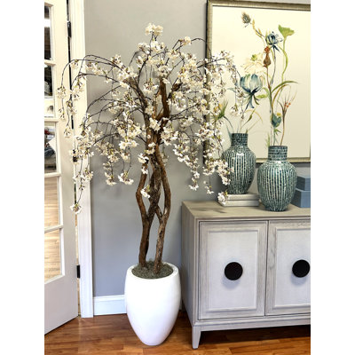 5.75' Organic Modern Cherry Blossom Tree with Real Dragon Wood