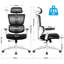 Culbane Ergonomic Mesh Office Chair-787000816