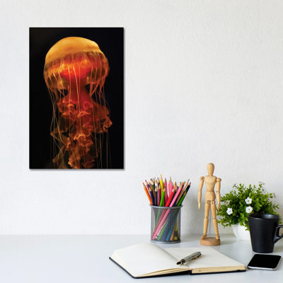 Black Sea Nettle Spreading Tentacles, Aquarium, Japan by Hiroya Minakuchi - Wrapped Canvas Print