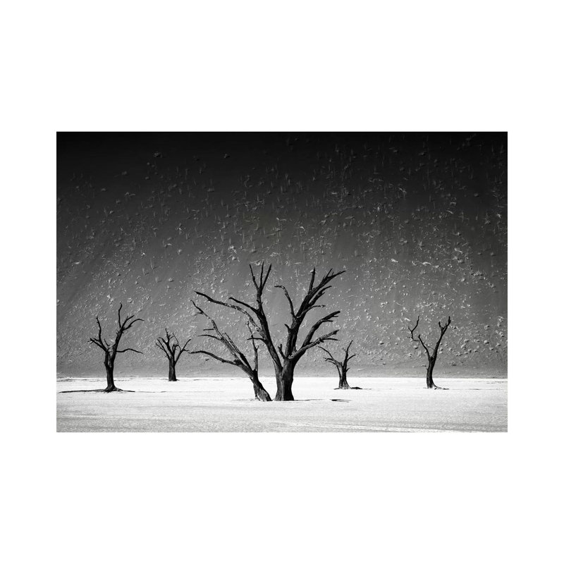 Staying Up - Wrapped Canvas Print, 20.32cm H x 30.48cm W x 1.905cm D