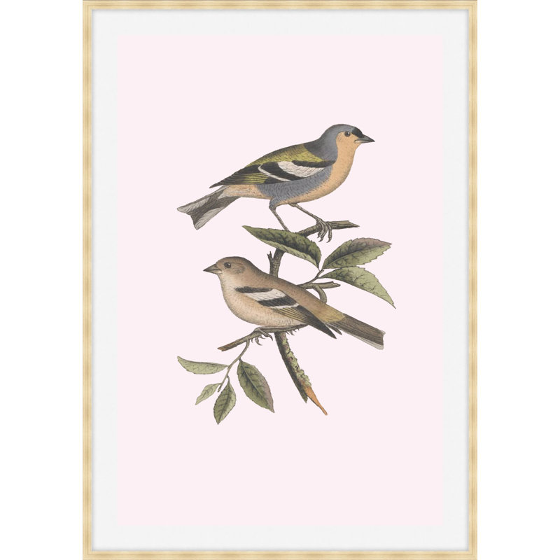 Nesting Navigators Pink 3 Print, 38.75" H x 27.75" W