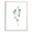 « mou eucalyptus branch iii » par paul cezanne-photo, reproduction d’art encadrée-234294641-234331537-234331538