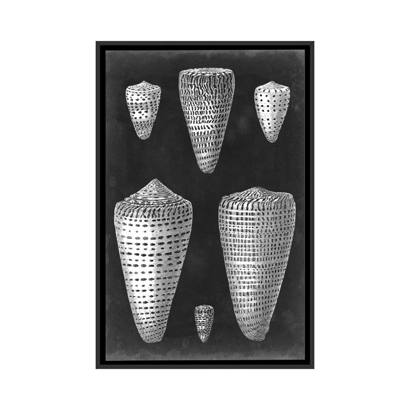 «Alabaster Shells I» par Visions Studio, reproduction sur toile, H 26 po x l 18 po x P 1,5 po, Toile avec cadre noir