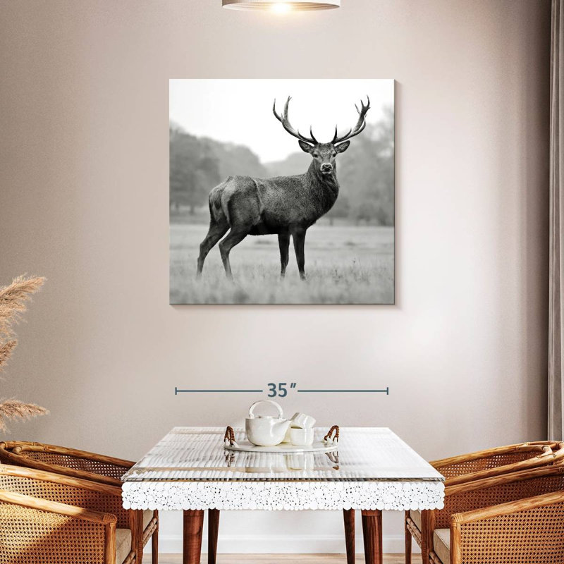 Brampt Proud Deer BW, 16" H x 16" W