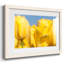 Sunshine Yellow I, reproduction encadrée sur papier-1986653142-1986653140