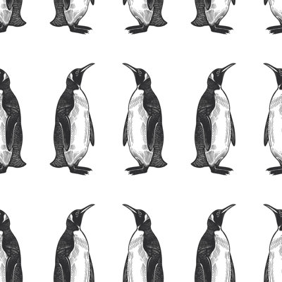 Penguin Wallpaper