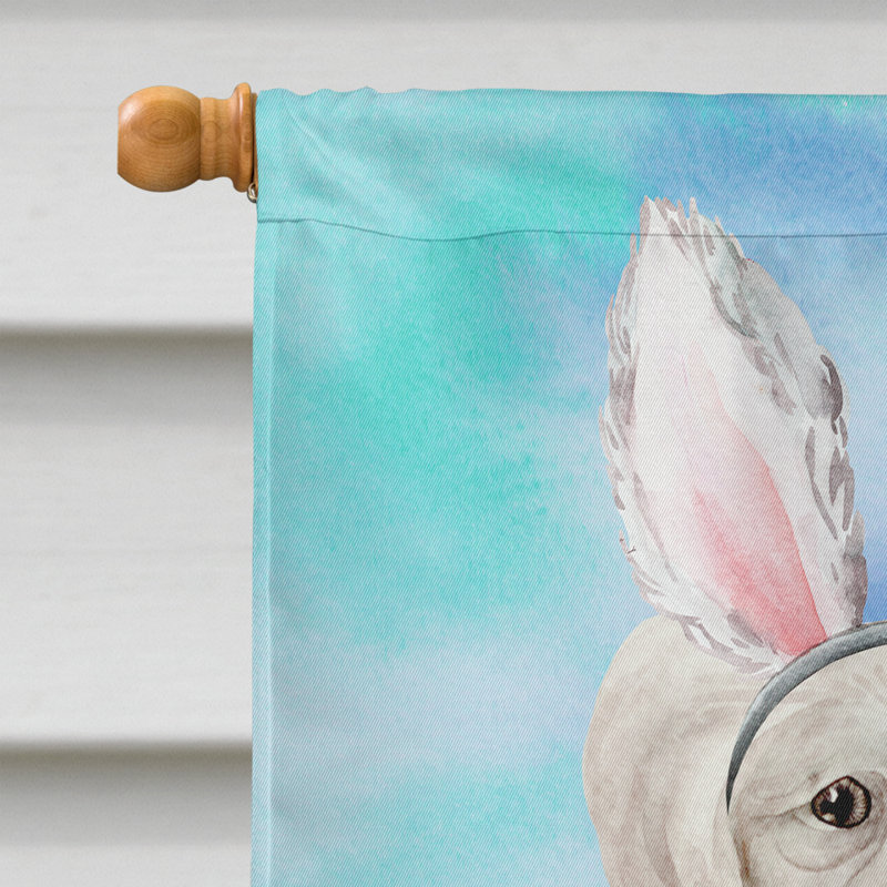 Polyester à 2 côtés 40 x 28 po. lapin de pâques drapeau maison, Chien chinois à crête