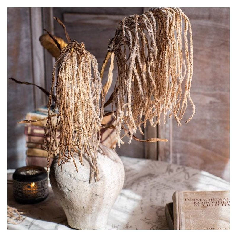Tige de branche de roseau haute 29 po