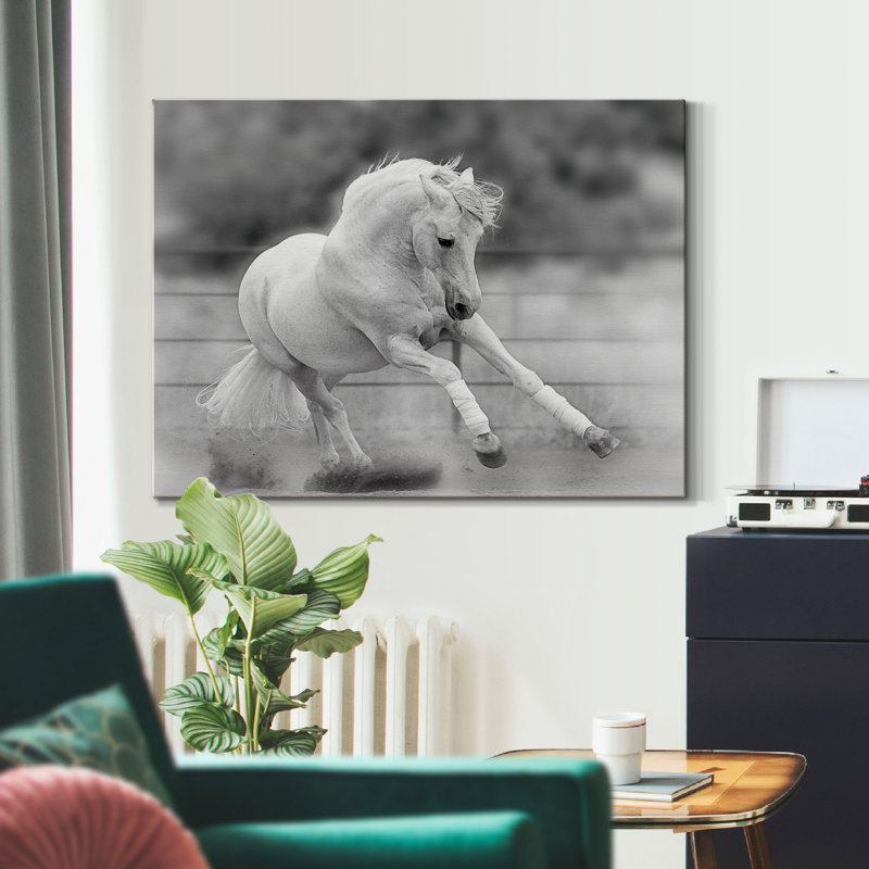 «All for Show», reproduction sur toile tendue, H 12 po x l 8 po x P 1 po