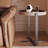 Moronta