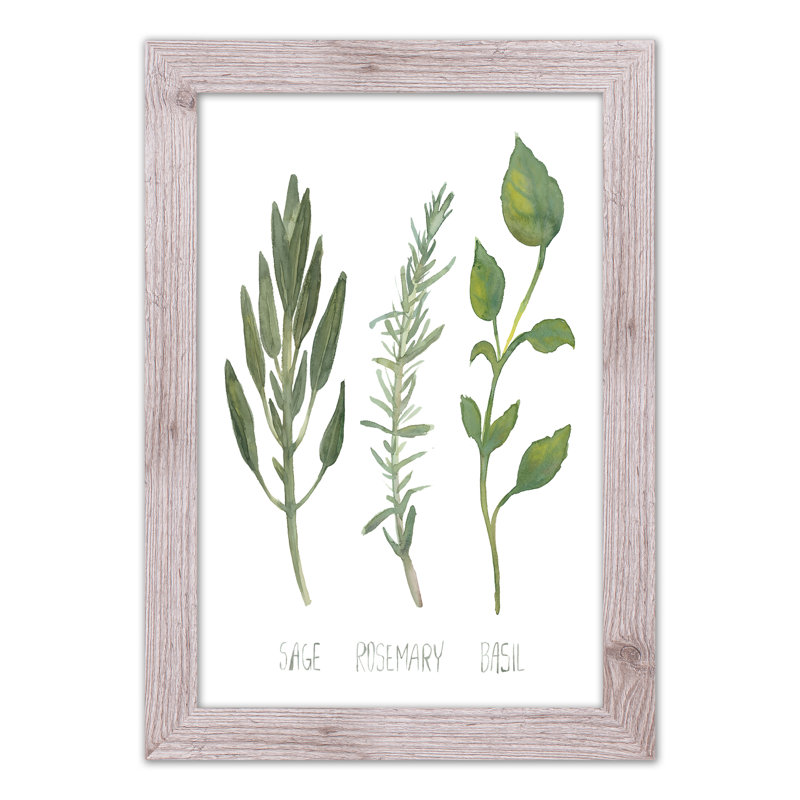 Herbes, reproduction encadrée, H 24 po x l 16 po x P 0,75 po