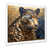White Single Picture Framed