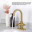 2-handle Bathroom Faucet with Drain Assembly-85684185