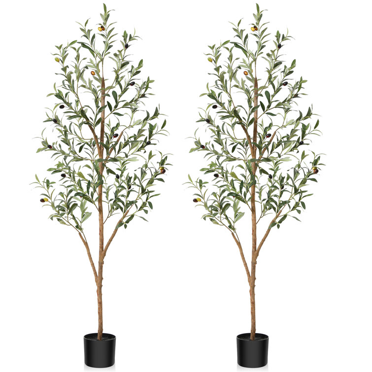 Primrue Adcock Artificial Olive Tree Tree in Pot with Realistic Leaves and  Natural Trunk & Reviews