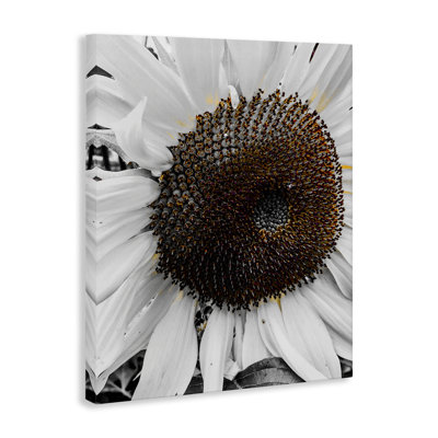 «Flower Pure White Petals», art mural sur toile par Heidi Bannon
