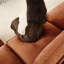 Chenille orange à 3 places, tiroirs coulissants pour un rangement facile dans le salon, enveloppé de coussins d'accoudoir avec rangement caché dans le siège, tissu usé, style nordique-2067606035