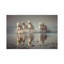Camargue Horses by Rostovskiy Anton - Print on Canvas-1078553595-1078553590