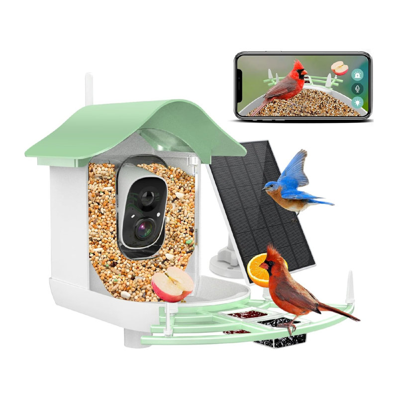Solar Smart Bird Feeder with Camera, Green
