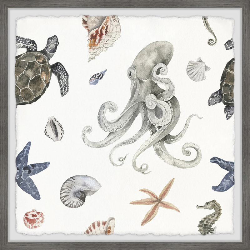 Ventnor Sea Animals A by Marmont Hill - Single Picture Frame Print
