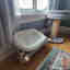 Customer photo 3 of 3