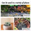 Decorative River Rocks Pebbles For Succulents, Cacti & Gardens, Aquarium Gravel, Fish Tank Rocks, 9 Lb