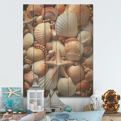 Coquillages classiques au bord de la mer - coquillage sur bois de pin naturel