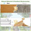 Cotswold Wood Planter Box