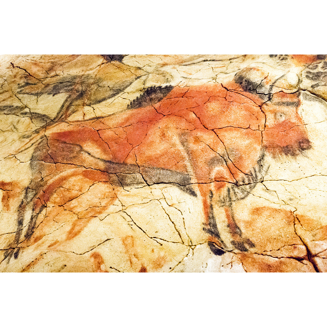 Altamira Cave by Luisrsphoto - Leinwandzeichnung auf Wrapped Canvas