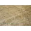Hand Knotted Wool Area Rug in Gold