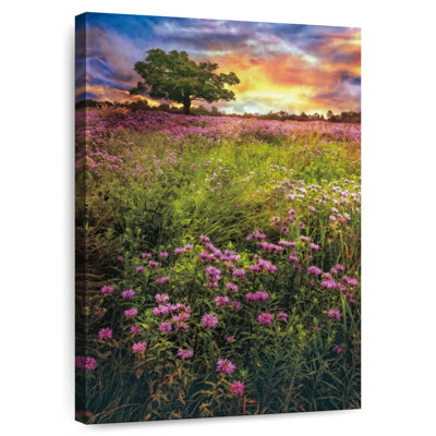 Alvord Summer Meadows