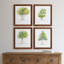 L'arbre I - ensemble de 4 reproductions d'art encadrées-1506622915-1506622941-1496819695