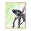 Curious Crow on a Branch - Peinture sur toile-60162898-60162906