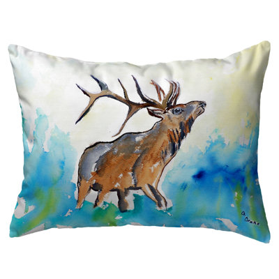 Outdoor Reversible Throw Pillow