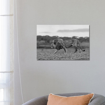 Old King by Alessandro Catta - Wrapped Canvas Painting